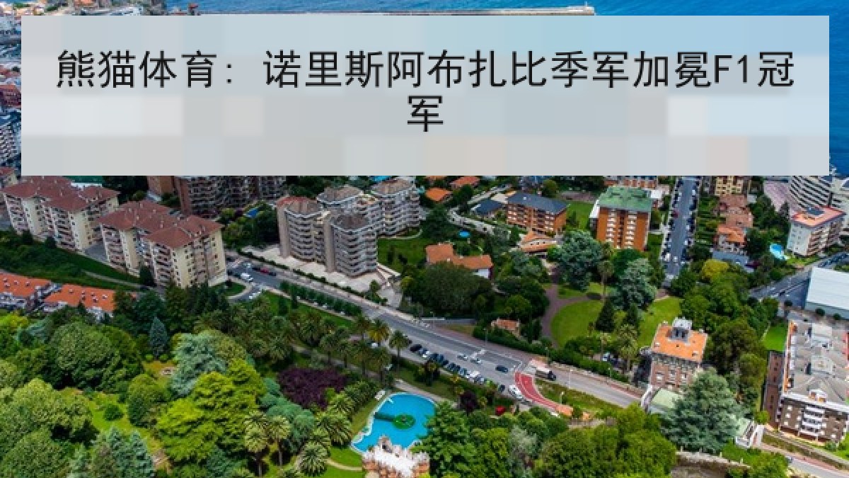 熊猫体育: 诺里斯阿布扎比季军加冕F1冠军