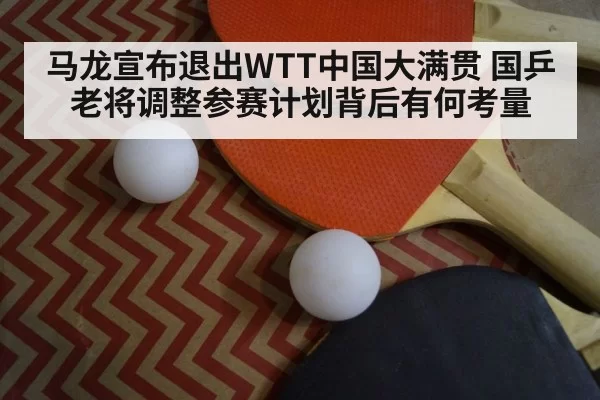 table tennis paddle closeup